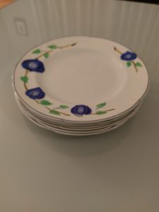 TG Green Physalis 19cm Round Dinner plates