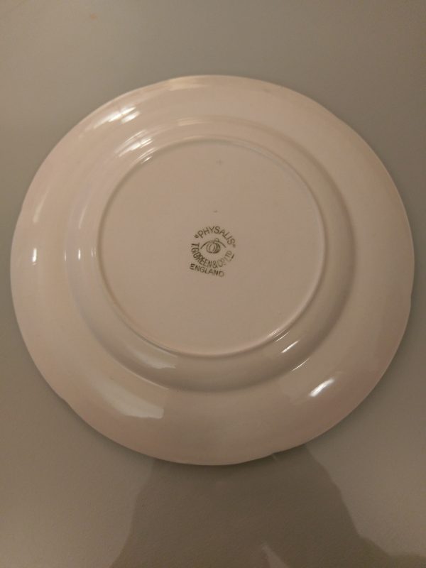 TG Green Physalis 19cm Round Dinner plates
