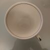 TG Green Physalis small tea cups  they are in very good condition