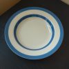 TG Green Blue and White Cornishware Shallow Bowl / Dish - 23cm